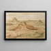 Courvite Isabelle - Johann Friedrich Naumann — gerahmtes Bild an der Wand