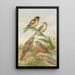 Emberiza aureola Pall Emberiza caesia Cretschmar - Johann Friedrich Naumann — gerahmtes Bild an der Wand