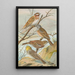 Emberiza leucocephala Gmel Emberiza cia Emberiza cinerea Strickl - Johann Friedrich Naumann — gerahmtes Bild an der Wand