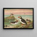 Fratercula arctica L Macareux arctique - Johann Friedrich Naumann — gerahmtes Bild an der Wand