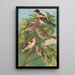 Fringilla montifringilla Fringilla coelebs Carduelis carduelis - Johann Friedrich Naumann — gerahmtes Bild an der Wand