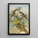 Fringilla nivalis Chloris chloris - Johann Friedrich Naumann — gerahmtes Bild an der Wand