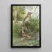 Jynx torquilla - Johann Friedrich Naumann — gerahmtes Bild an der Wand