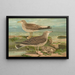 Larus canus Larus argentatus Brunn - Johann Friedrich Naumann — gerahmtes Bild an der Wand