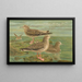 Larus fuscus Larus marinus Larus glaucus Brünn - Johann Friedrich Naumann — gerahmtes Bild an der Wand