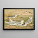 Larus minutus Pall, Larus ridibundus, Larus melanocephalus Natt, Larus Philadelphia Ord - Johann Friedrich Naumann — gerahmtes Bild an der Wand