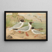 Larus minutus Pall, Larus ridibundus, Larus melanocephalus, Natt, Larus minutus Pall - Johann Friedrich Naumann — gerahmtes Bild an der Wand