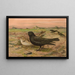 Melanocorypha yeltoniensis - Johann Friedrich Naumann — gerahmtes Bild an der Wand