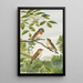 Muscicapa parva Bechst - Johann Friedrich Naumann — gerahmtes Bild an der Wand