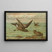 Oceanodroma leucorrhoa Vieill Goéland à queue fourchue - Johann Friedrich Naumann — gerahmtes Bild an der Wand