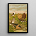 Philomachus pugnax - Johann Friedrich Naumann — gerahmtes Bild an der Wand