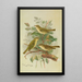 Phylloscopus viridanus nitidus borealis - Johann Friedrich Naumann — gerahmtes Bild an der Wand