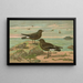 Procellaria pelagica Oceanites oceanicus - Johann Friedrich Naumann — gerahmtes Bild an der Wand
