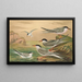 Sterne pierregarin Sterne macrura Sterne de Dougall Sterne naine - Johann Friedrich Naumann — gerahmtes Bild an der Wand