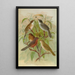 Sylvia melanocephala Sylvia undata Hypolais salicaria - Johann Friedrich Naumann — gerahmtes Bild an der Wand