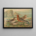 Tringa canutus Tringa maritima - Johann Friedrich Naumann — gerahmtes Bild an der Wand