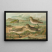 Tringa canutus Tringa subarcuata Tringa maritima Brunn - Johann Friedrich Naumann — gerahmtes Bild an der Wand