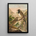 Turdus atrigularis - Johann Friedrich Naumann — gerahmtes Bild an der Wand