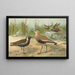Vanellus gregarius Pall Charadrius dominicus St Muller - Johann Friedrich Naumann — gerahmtes Bild an der Wand