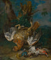Naturmorte mit einem Tetra - Johann Georg de Hamilton — Ansicht des Kunstwerks