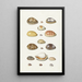 Coquilles de porcelaine - Johann Gustav Hoch — gerahmtes Bild an der Wand