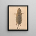 Eine Feldmaus aus der Vogelperspektive - Johann Rudolph Schellenberg — gerahmtes Bild an der Wand