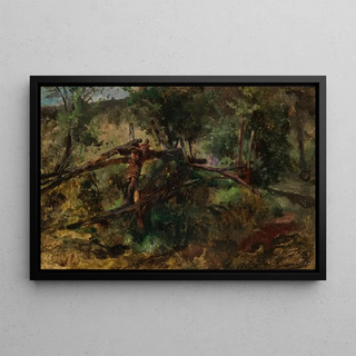 Johann Till the younger - Waldweg mit Zaun.webp