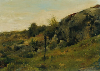 Johann Till the younger - Wiesenlandschaft mit Felsen.webp
