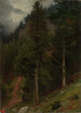 Reproduktion des Gemäldes Pente dans la forêt de sapins - Johann Wilhelm Schirmer