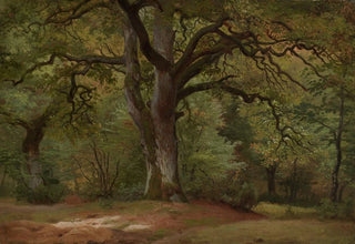 Johann Wilhelm Schirmer - Eichenwald im Solling.webp