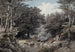 Innenansicht eines Waldes mit Hirschen am Wasser - Johann Wilhelm Schirmer — Ansicht des Kunstwerks