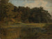 Teich im Wald - Johann Wilhelm Schirmer — Ansicht des Kunstwerks