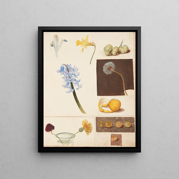 Johanna Fosie - Studie af blomster frugter og grnne tomater.webp