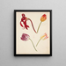 Studie der Tulpen - Johanna Fosie — gerahmtes Bild an der Wand