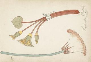 Johanna van de Kamer - Egyptisch ornament met lotusbloem en knop.webp