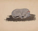 Schlafender Hund - Johannes Tavenraat — Ansicht des Kunstwerks