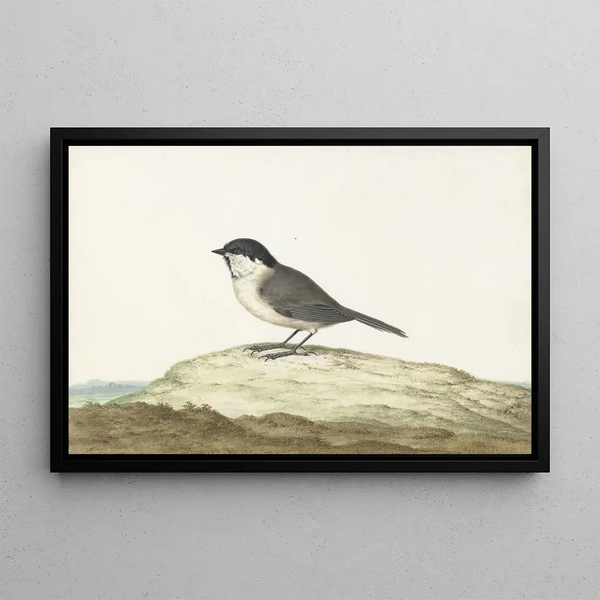 Johannes van Bronckhorst - Glanskop.webp