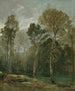 Ansicht eines Gehölzes - John Constable — Ansicht des Kunstwerks