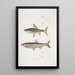 Carpe de Hamilton Cyprinus Bangana Hamiltonii Taille naturelle 2 Carpe Goha Cyprinus Leuciscus Goha - John Edward Gray — gerahmtes Bild an der Wand