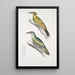 Pic du Népal Picus Nepaulensis 2 Pic à moustaches Picus barbatus - John Edward Gray — gerahmtes Bild an der Wand