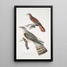 Coucou à bec fin Cuculus tenuirostris 2 Coucou Bhrow Brow Cuculus Lathami - John Edward Gray — gerahmtes Bild an der Wand