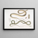 Serpent à ventre tacheté Coluber ventromaculatis 2 Serpent d'arbre de Bell Ahtula Bellii - John Edward Gray — gerahmtes Bild an der Wand