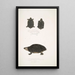 Tortue tachetée Emys Guttata Emys Hamiltonii 2 Tortue à cou épais Emys crassicollis - John Edward Gray — gerahmtes Bild an der Wand