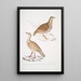 Perdrix des bois Perdix gularis 2 Perdrix orientale Perdix orientalis - John Edward Gray — gerahmtes Bild an der Wand