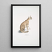 Beau chat Felis ornata - John Edward Gray — gerahmtes Bild an der Wand