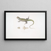 Penang Uromastix Gemälde - John Edward Gray — gerahmtes Bild an der Wand