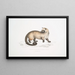 Crosss Paradoxurus Paradoxurus Crossii - John Edward Gray — gerahmtes Bild an der Wand