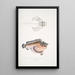 Poisson-cochon déformé Synanaceia grossa Singapur - John Edward Gray — gerahmtes Bild an der Wand
