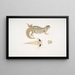 Uromastix von Hardwicke, Uromastix hardwickii aus Hindustan - John Edward Gray — gerahmtes Bild an der Wand