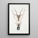 Antilope indienne Antilopa cervicapra Kopf und Horn 1 jung 2 erwachsen - John Edward Gray — gerahmtes Bild an der Wand